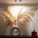 Serenity Appartement